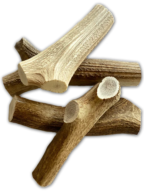 Jumbo Elk Chew