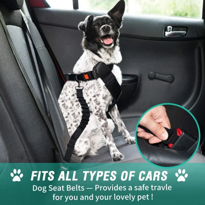 Car Dog Safety Buckle Nylon Seat Belt