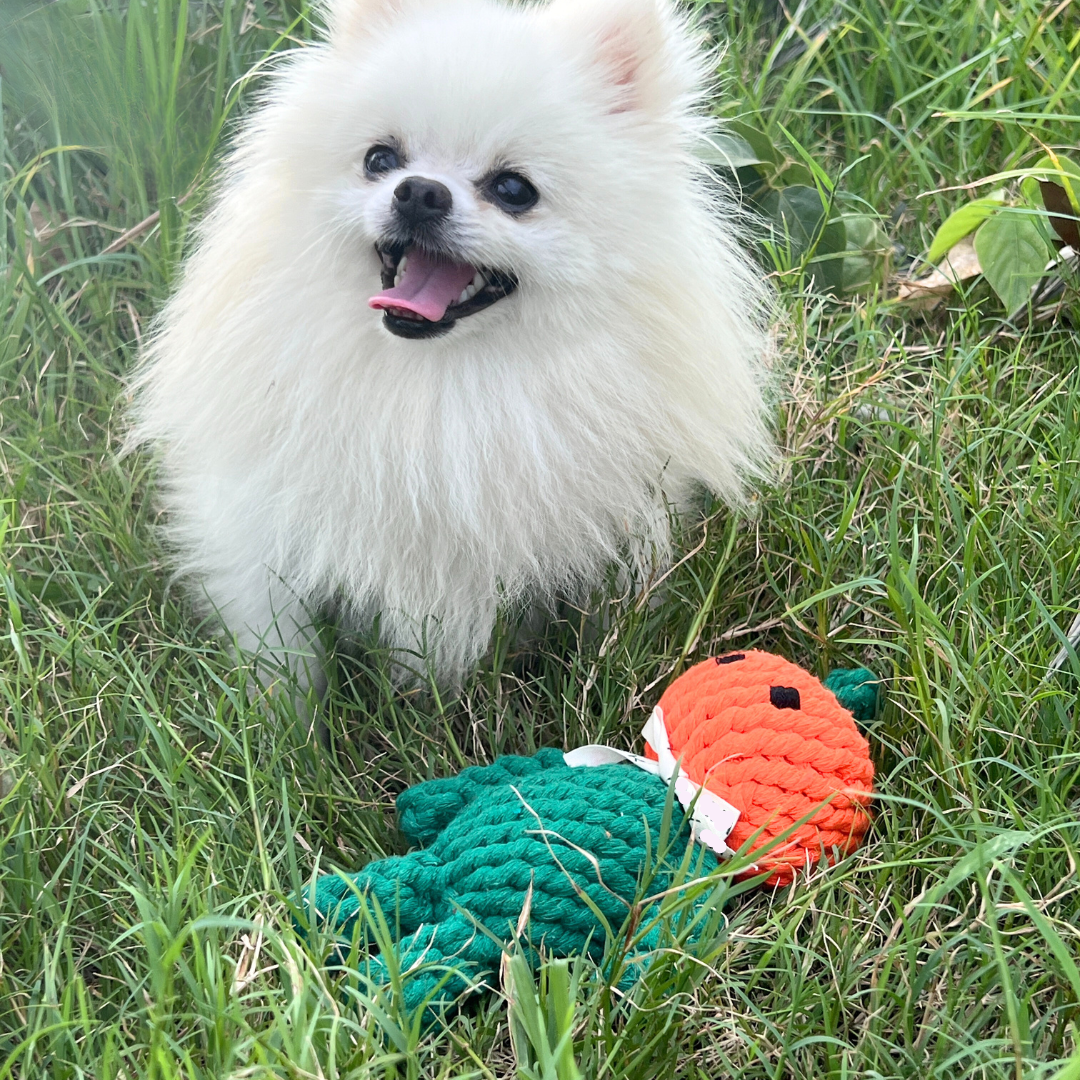 Adam the Pumpkin Baby Rope Toy