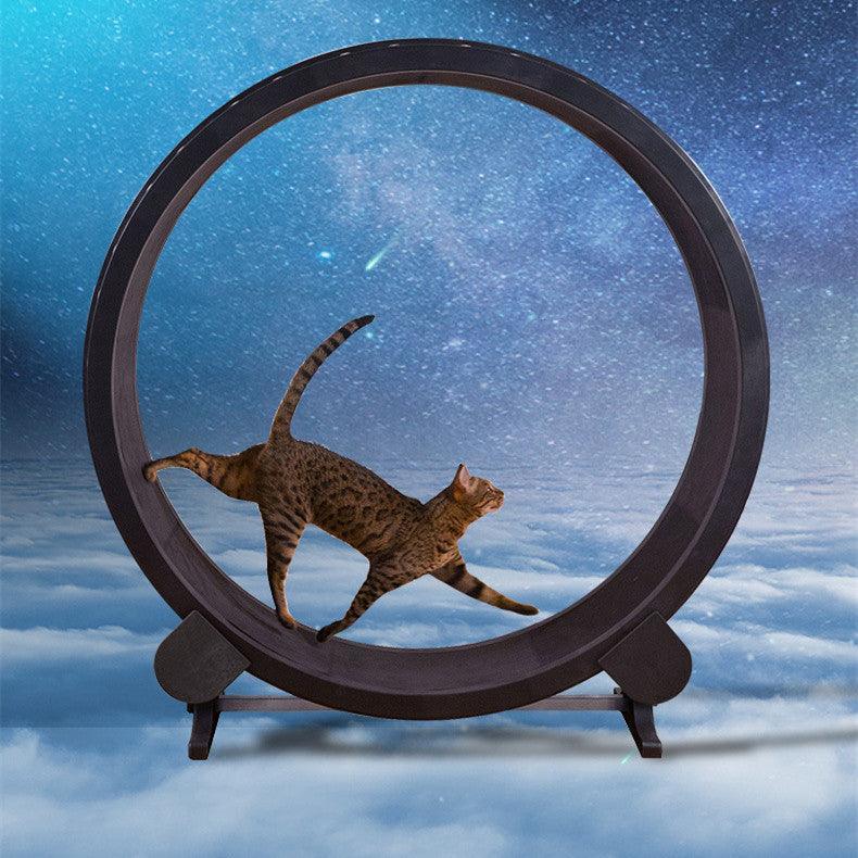 Catfitrun: The Ultimate Pet Cat Running Wheel For Fitness And Fun-0