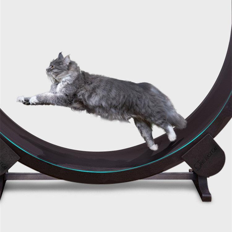 Catfitrun: The Ultimate Pet Cat Running Wheel For Fitness And Fun-1