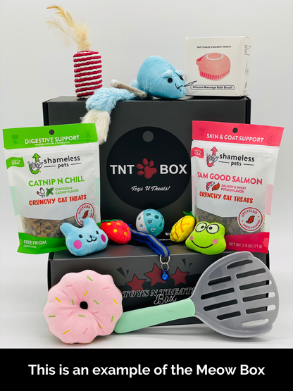 Toys N Treats Gift Boxes