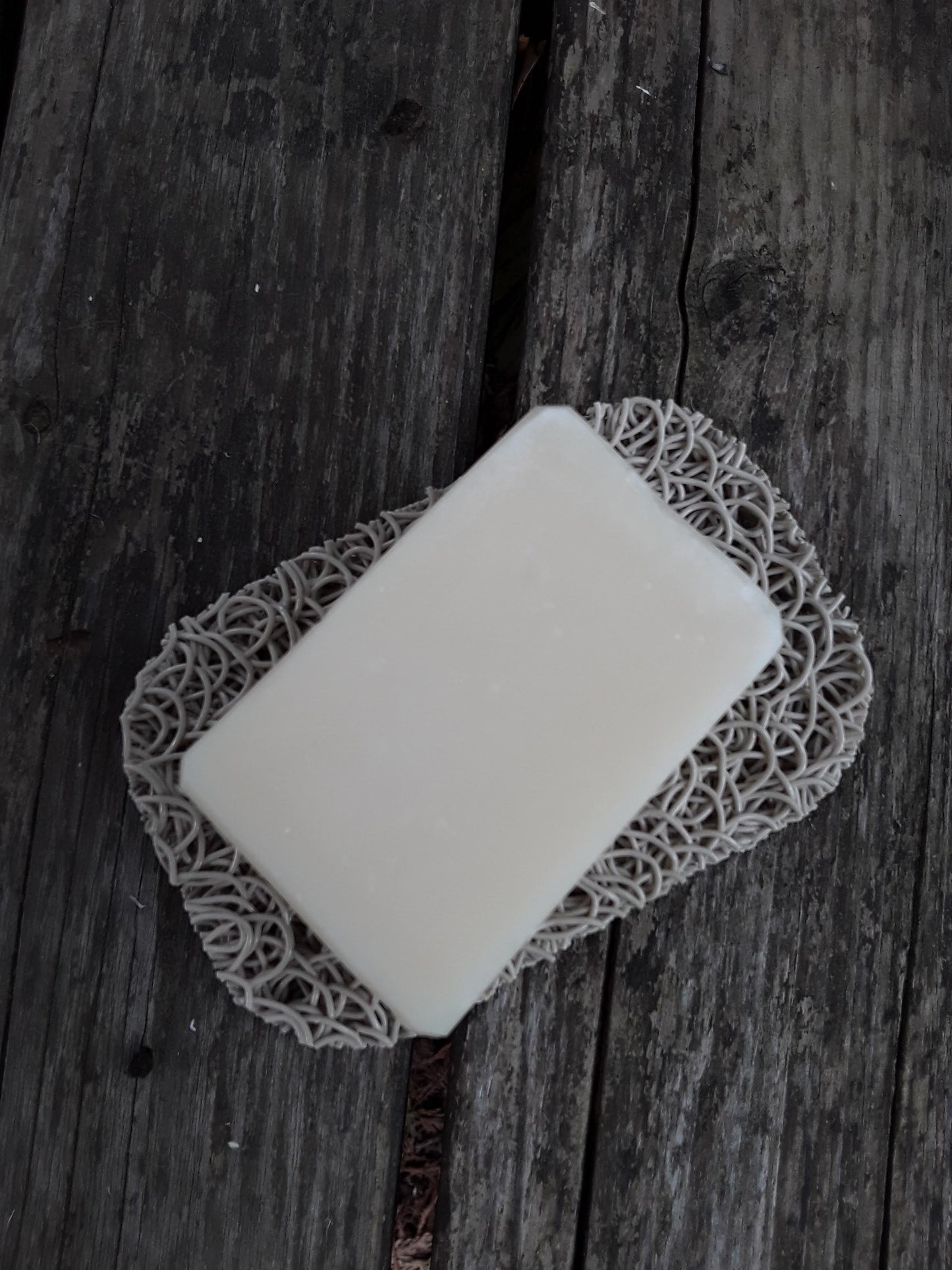 Solid Shampoo