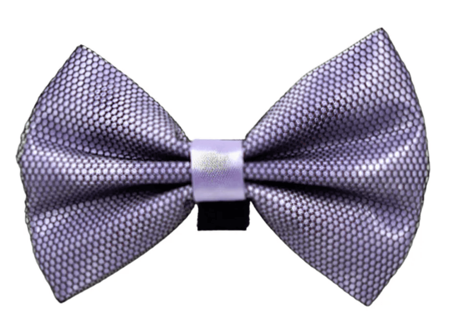 Elegant Satin Pet Bow with Black Net Overlay and Velcro Fastener