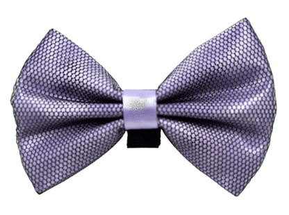 Elegant Satin Pet Bow with Black Net Overlay and Velcro Fastener