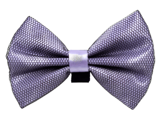 Elegant Satin Pet Bow with Black Net Overlay and Velcro Fastener