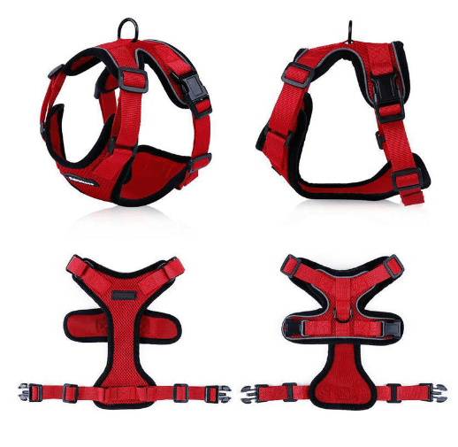 Escapeguard Cat Vest Harness And Car Seat Belt Adapter - Adjustable, Reflective, And Escape-Proof Harness For Cats And Small Dogs