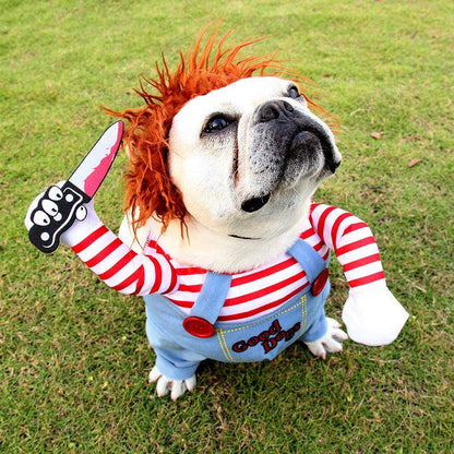 Funny Halloween Pet Costume: Dagger Pet Changing Clothes