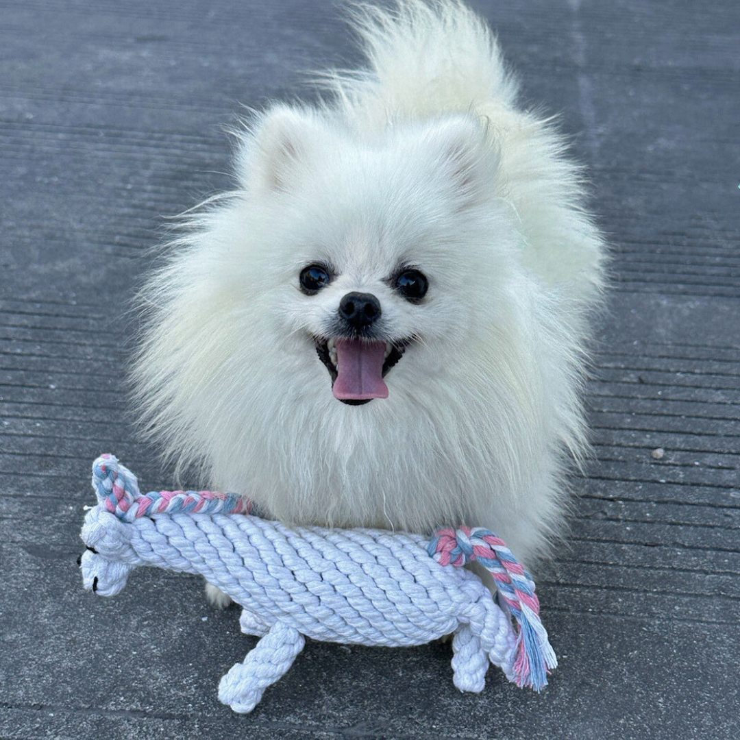 Luna the Unicorn Handmade Rope Toy