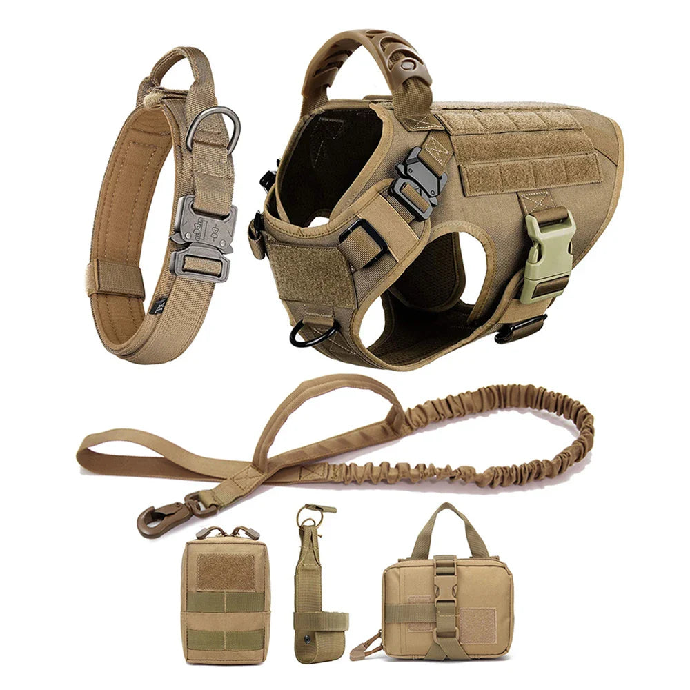 Large Dog Harness And Leash Set For Training