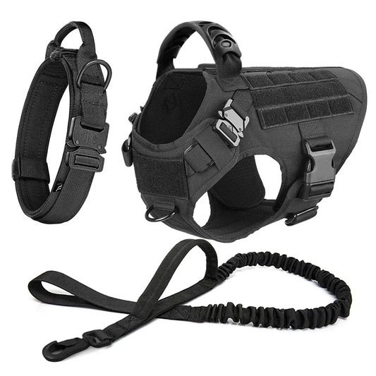 Large Dog Harness And Leash Set For Training