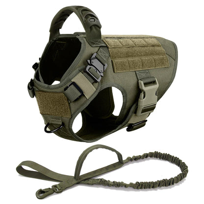 Large Dog Harness And Leash Set For Training