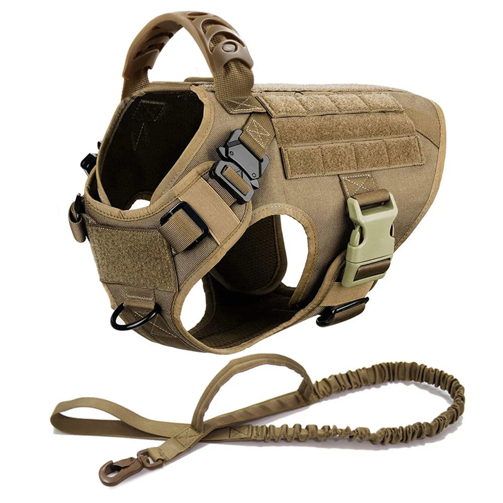 Large Dog Harness And Leash Set For Training