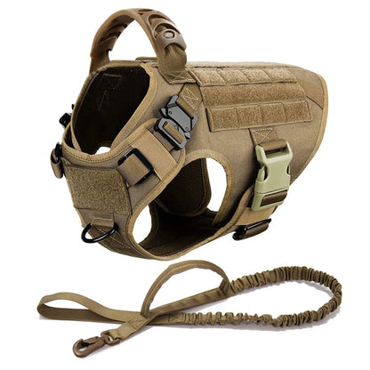 Large Dog Harness And Leash Set For Training