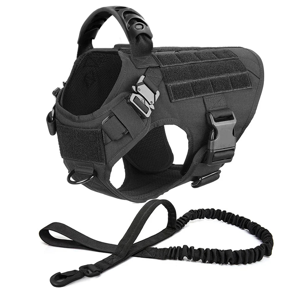 Large Dog Harness And Leash Set For Training