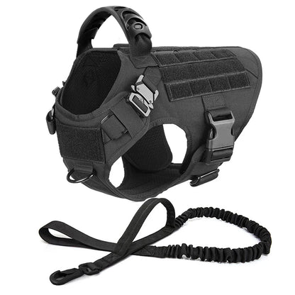 Large Dog Harness And Leash Set For Training