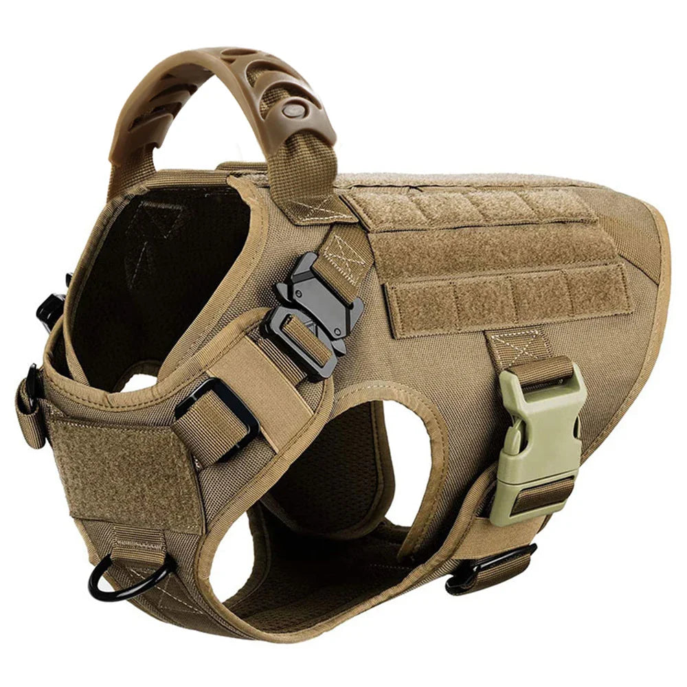Large Dog Harness And Leash Set For Training