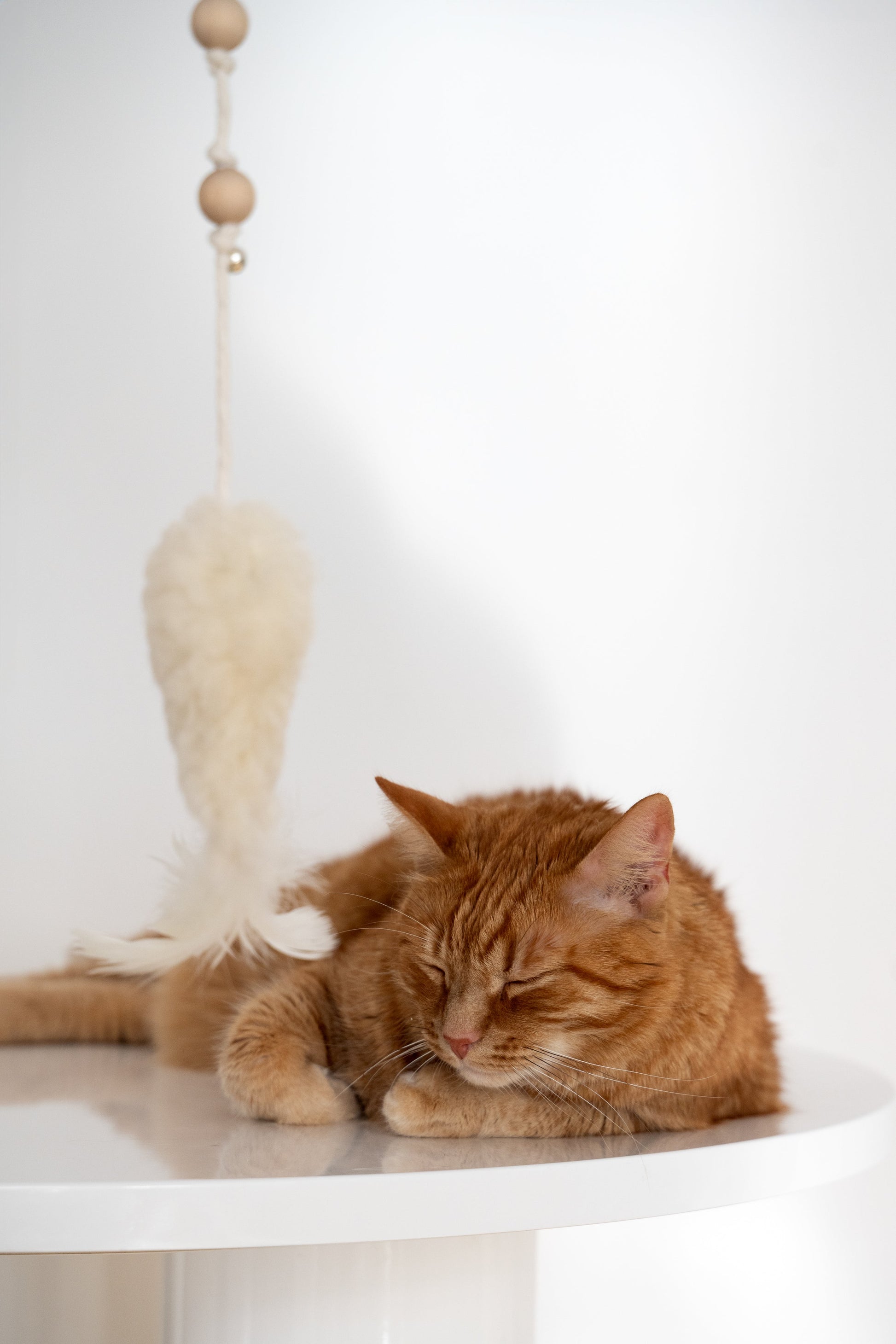 Natural Woolen Cat Toy: Fish-0