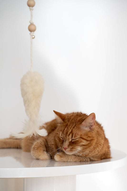Natural Woolen Cat Toy: Fish-0