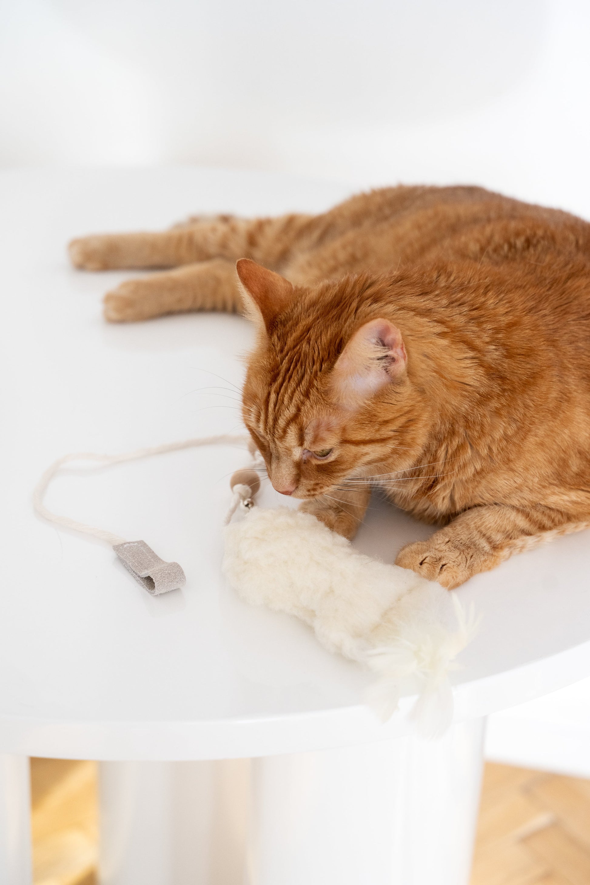 Natural Woolen Cat Toy: Fish-3