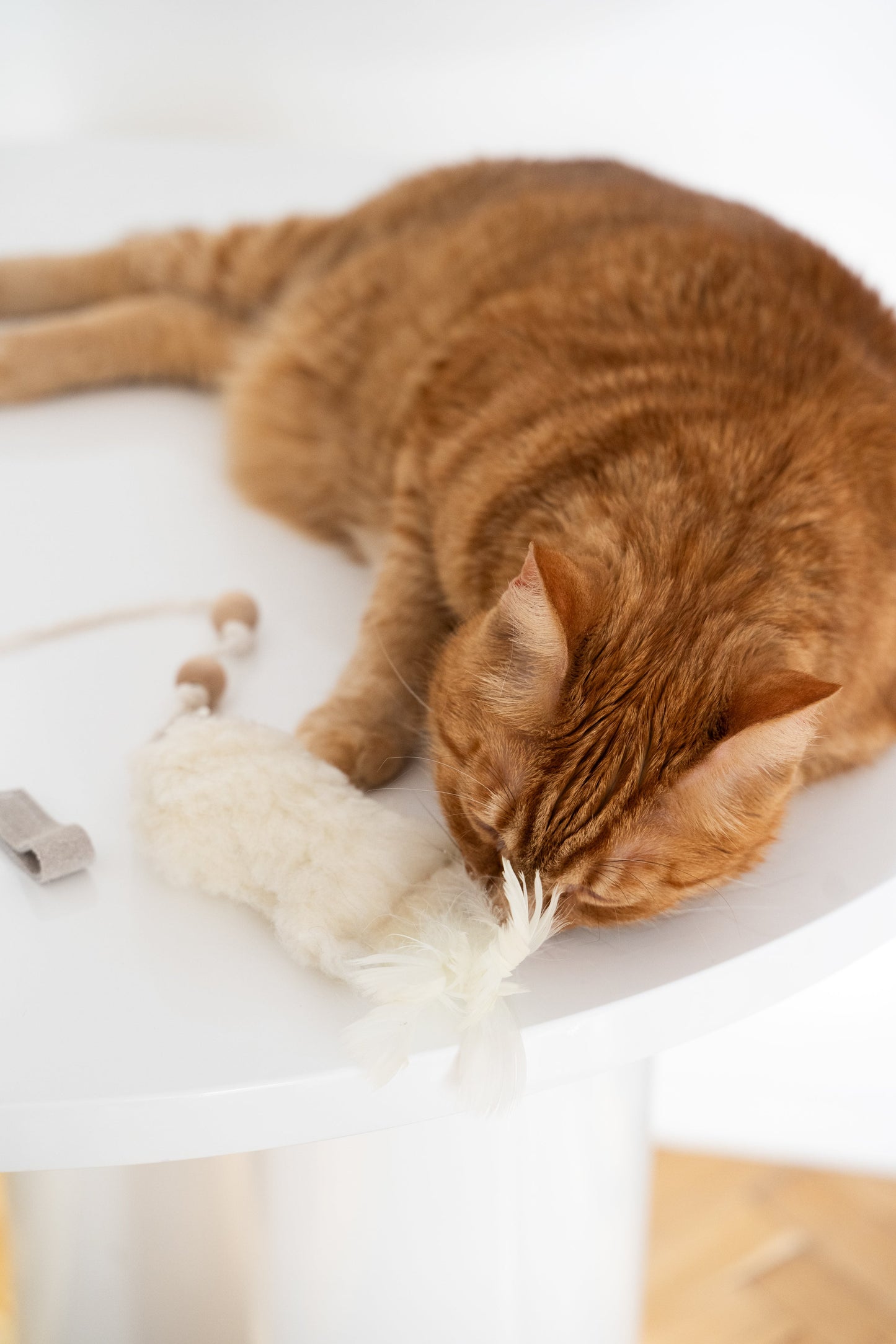 Natural Woolen Cat Toy: Fish-4