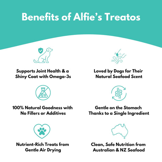 Australian Salmon Skin Dog Treats