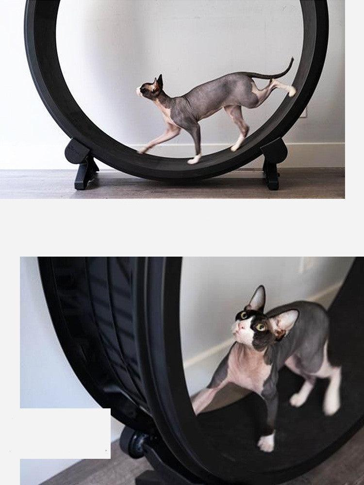 Catfitrun: The Ultimate Pet Cat Running Wheel For Fitness And Fun-3