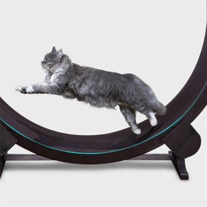 Catfitrun: The Ultimate Pet Cat Running Wheel For Fitness And Fun-1