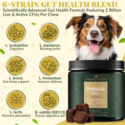 Probiotic Bites for Dogs – Gut Health & Digestive Support
